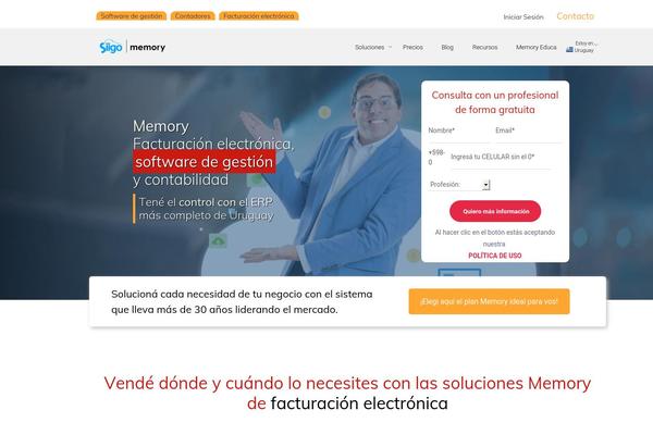 Site using Media Grid plugin