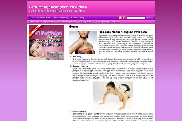 hmt-pro-skin-pinky-punky-401 theme websites examples