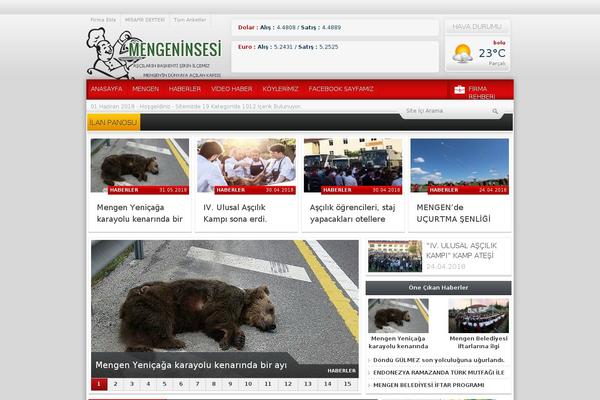 Haberadam theme site design template sample