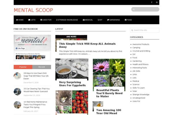 Mts_interactive theme site design template sample