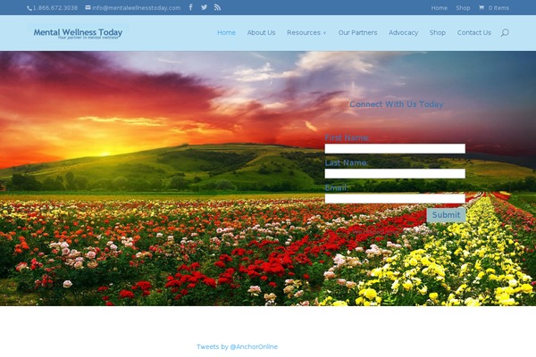 Site using Bloom plugin