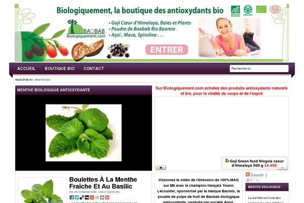 Lugada theme site design template sample