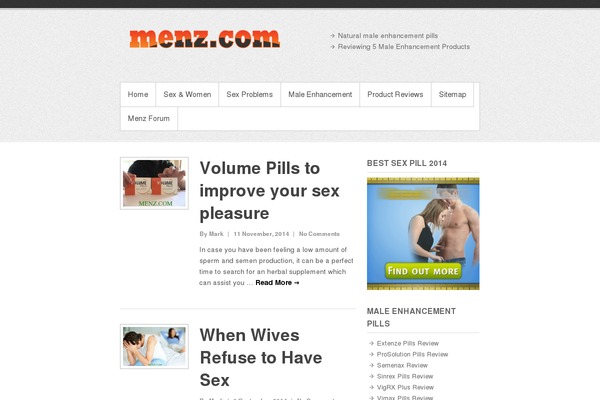 Simple Catch Pro theme site design template sample