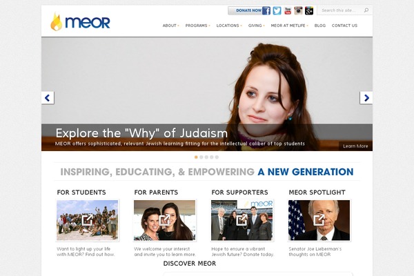 Chameleon theme site design template sample
