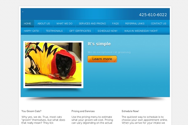 Local Business theme site design template sample