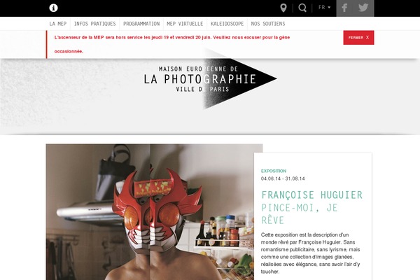 mep theme websites examples