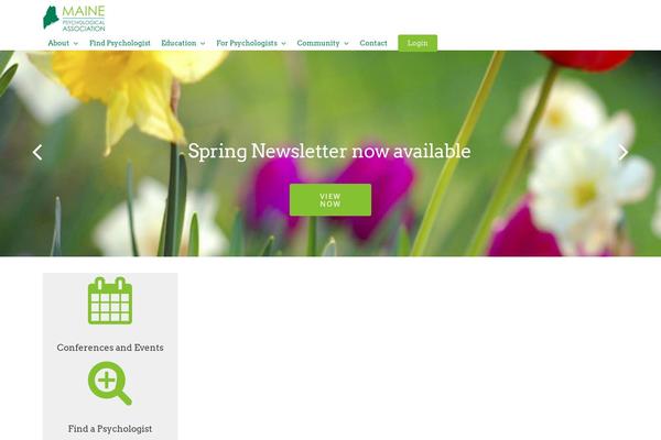 Salient theme site design template sample