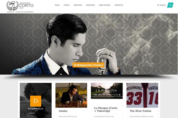 Playmag theme site design template sample
