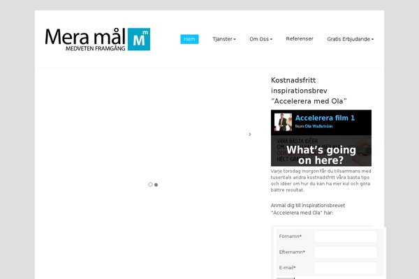 Zinc theme site design template sample