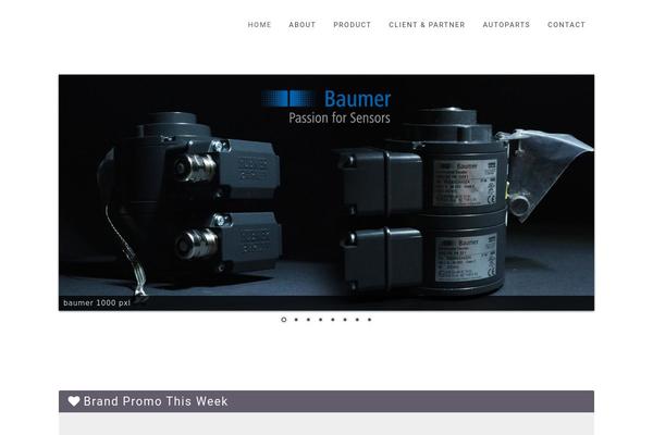 Site using Xt-visitor-counter plugin