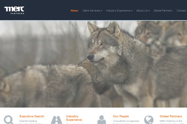 Anchorra theme site design template sample
