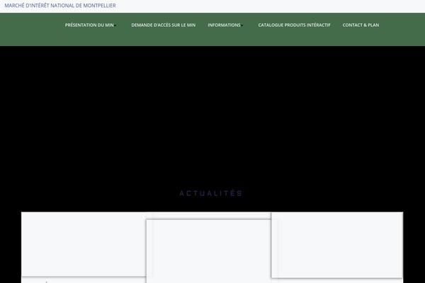 Colibri WP theme site design template sample