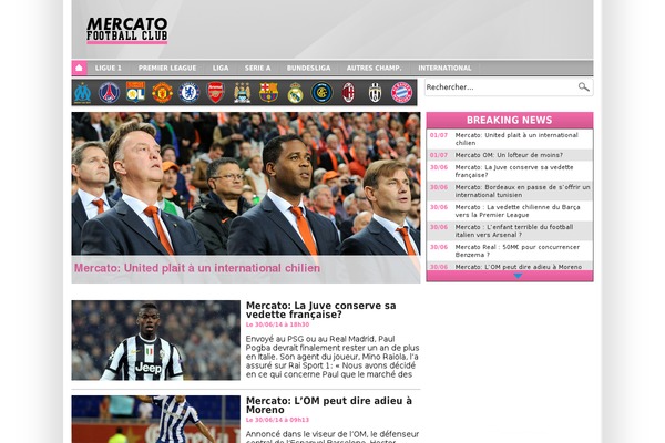 OM theme site design template sample