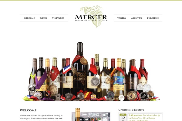 Site using Divi-event-calendar-module plugin