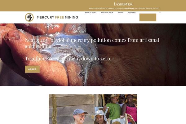 Site using Easy Forms for MailChimp plugin