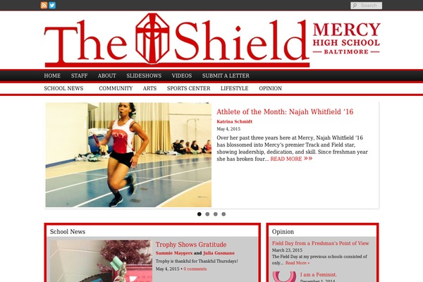 Sno Flex theme site design template sample