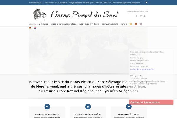 Choices theme site design template sample