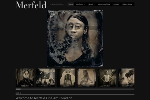 merfeldcollodion.com site used Modularity