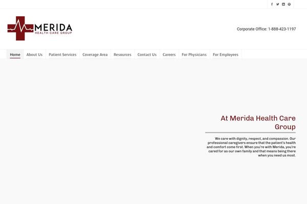 Site using Google Language Translator plugin