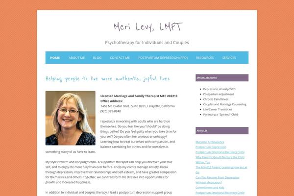 merilevy.com site used Colorful Delight