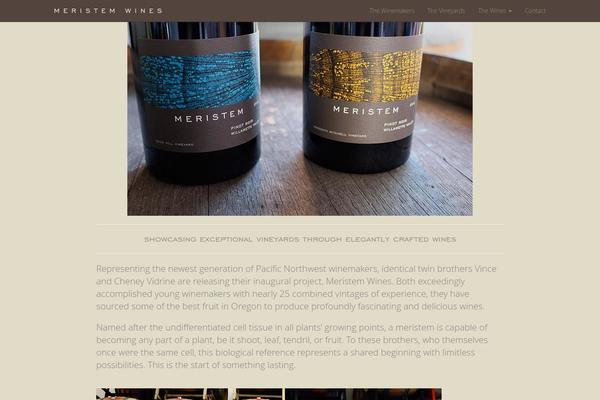Single theme site design template sample