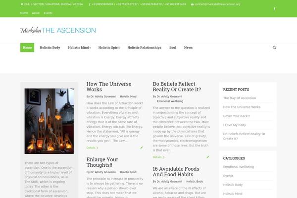 Dt-the7-theme theme site design template sample