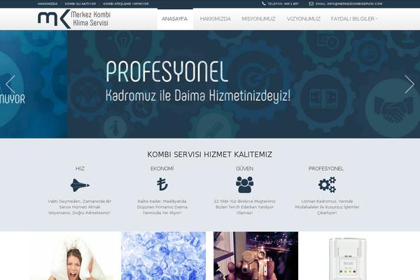 Fortune theme site design template sample