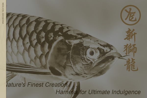 Anan theme site design template sample