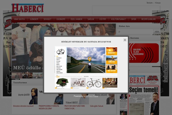 Safirtema theme site design template sample