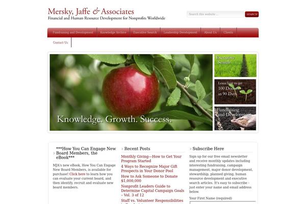 WordPress website example screenshot