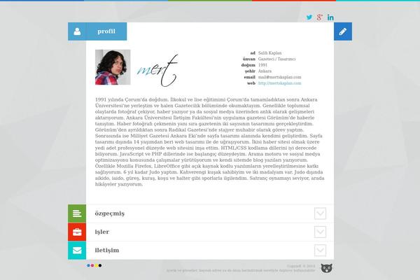 Cv theme site design template sample
