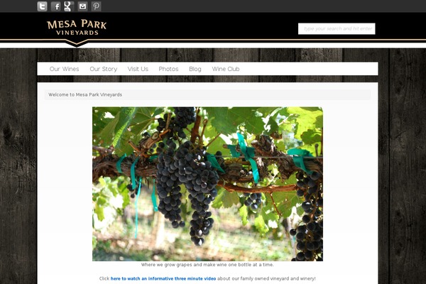 Freshshop theme site design template sample