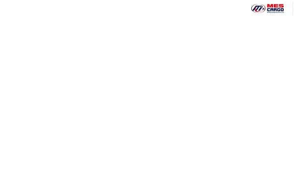 Site using Megamenu-pro plugin