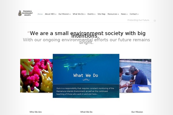 Modest theme site design template sample