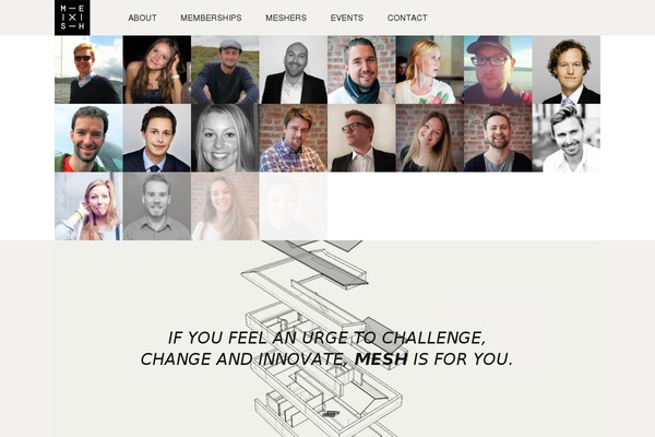 Mesh website example screenshot