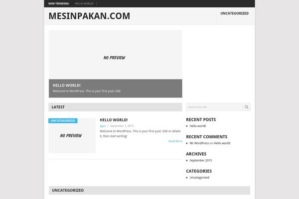 Point theme site design template sample