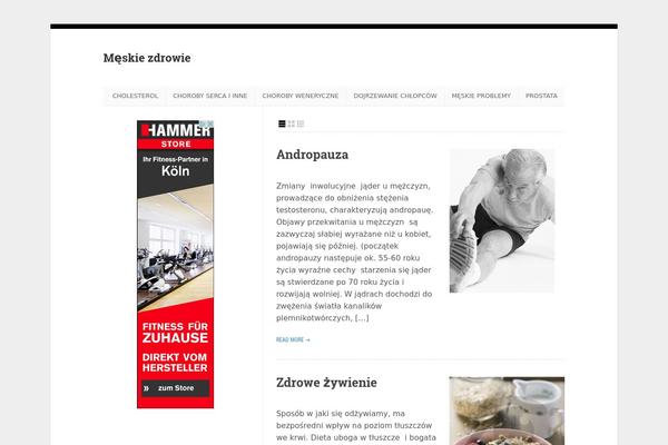 Wp-enlightened104 theme site design template sample