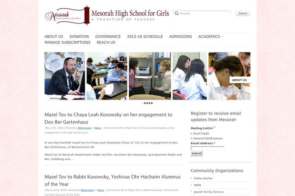 Delicate theme site design template sample