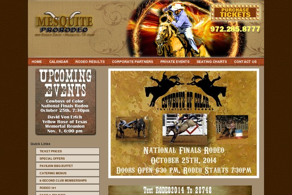 Sleek theme site design template sample
