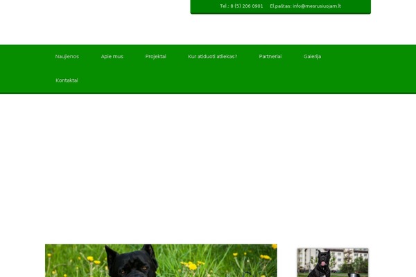 Site using Formcraft plugin
