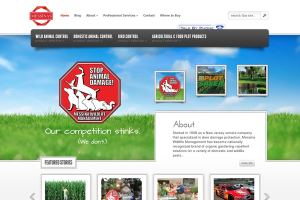 eStore theme site design template sample
