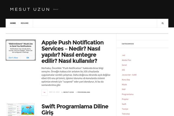 mesutuzun.com site used JustWrite