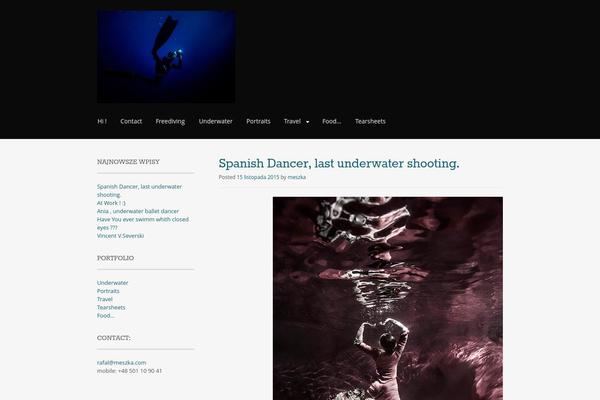 Portfolio Press theme site design template sample