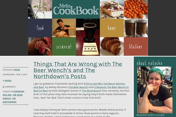 Meta theme site design template sample