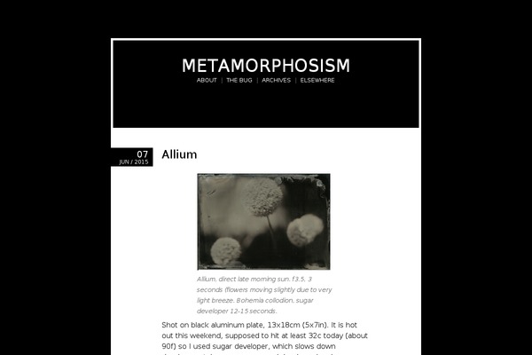 Site using Flickr Photostream plugin