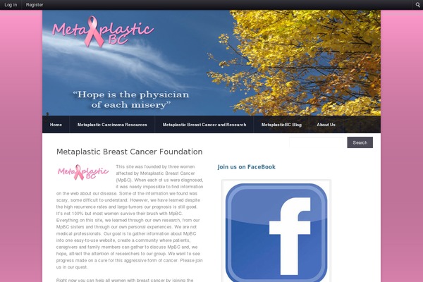 Razor theme site design template sample