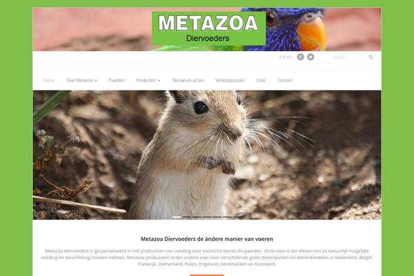 Adventurous theme site design template sample
