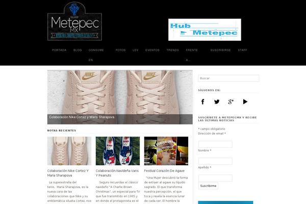 metepecmx.com site used Veteemag