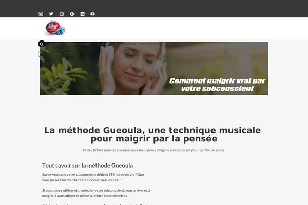 Site using Simple Music Widget plugin
