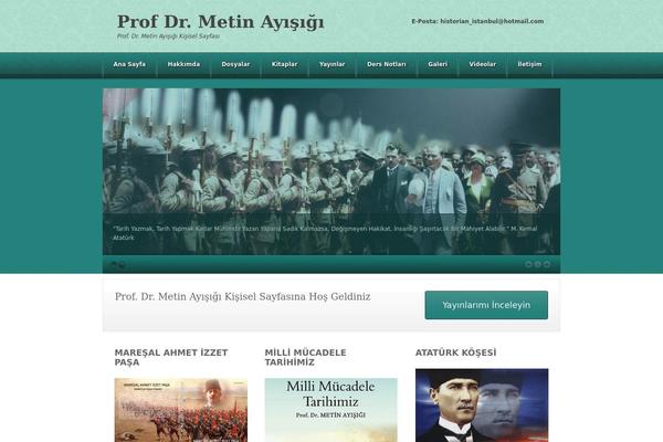 Akita theme site design template sample